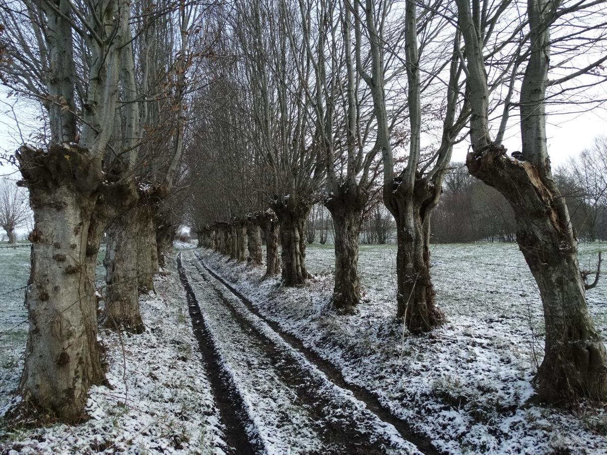 La Vannerie Bed & Breakfast Origny-en-Thierache Dış mekan fotoğraf